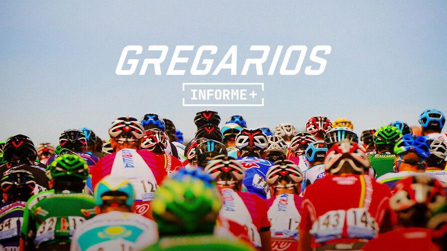 Gregarios. Ganar perdiendo