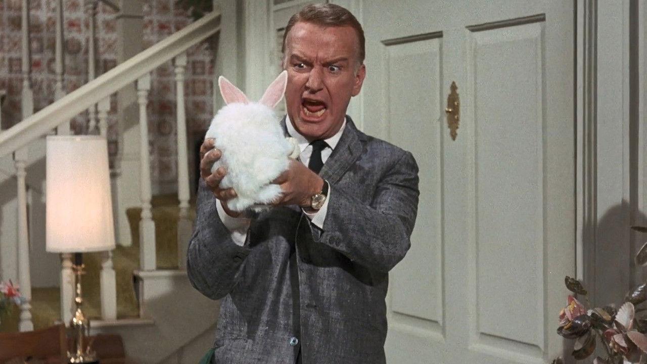 Operation Shaggy Dog