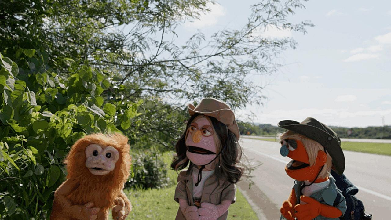 Thiago & Ísis e os Biomas do Brasil backdrop