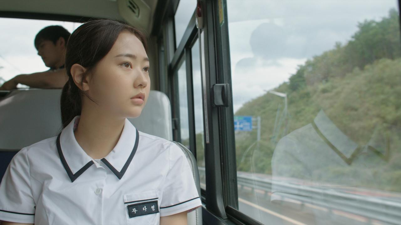 That Summer's Lie backdrop