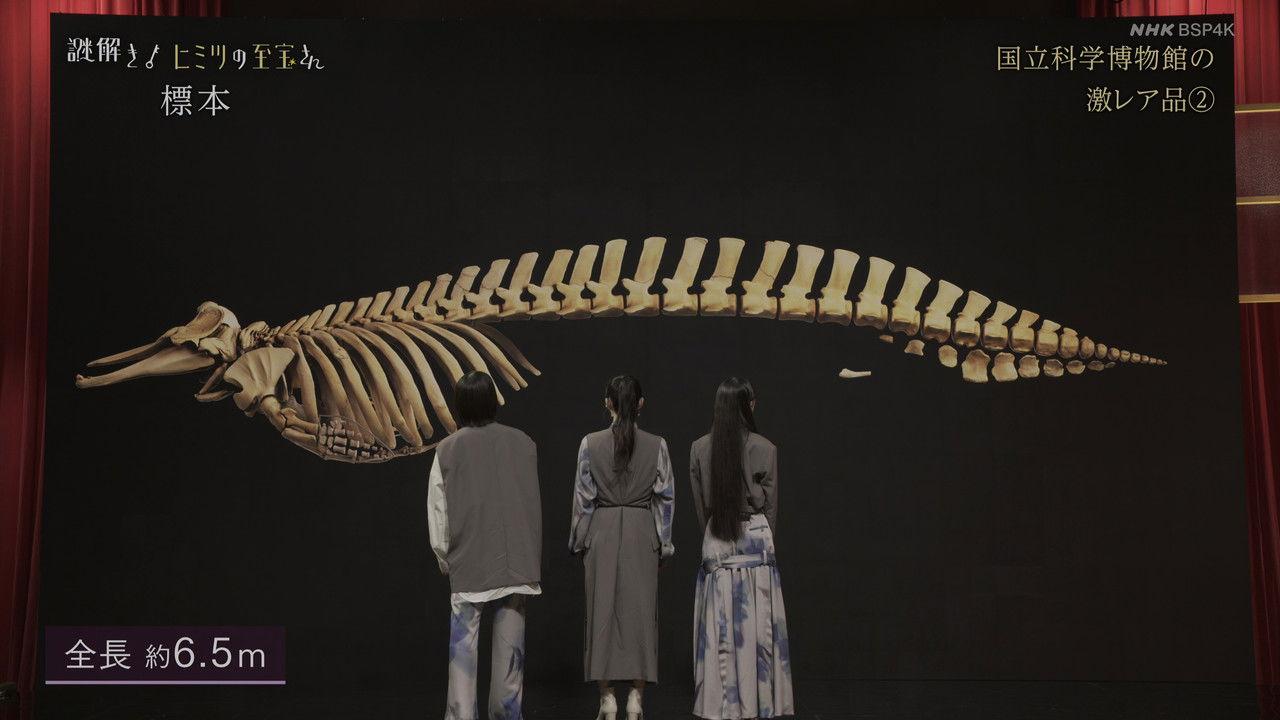 National Museum of Science Specimen