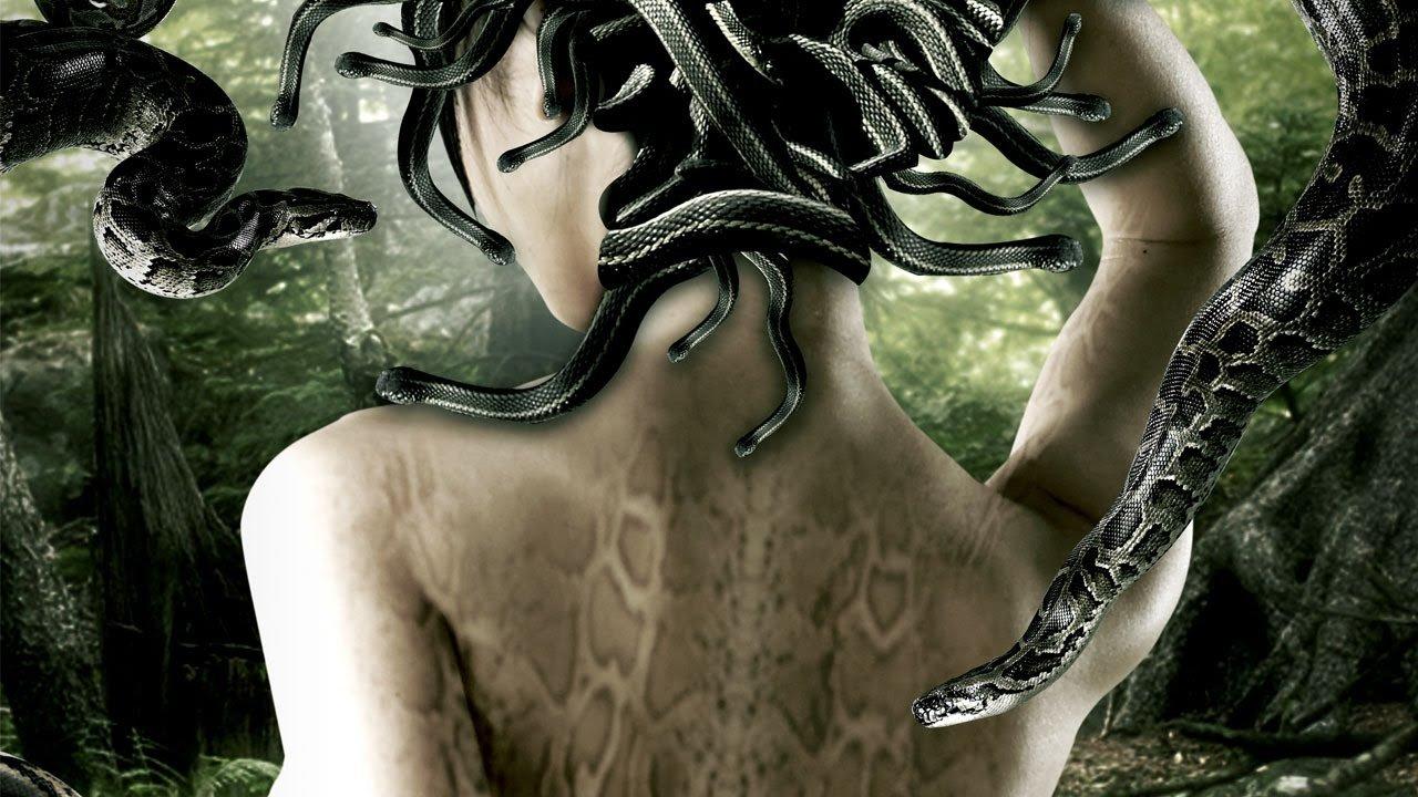 Deep in the Jungle backdrop