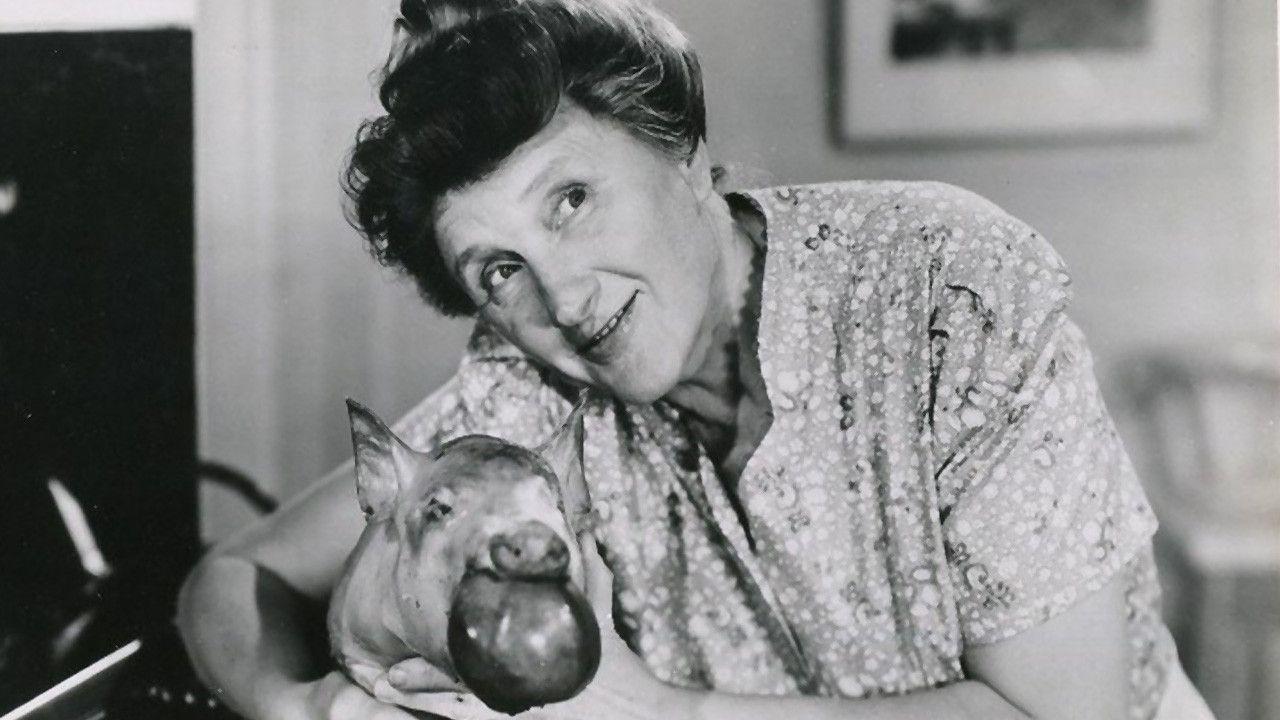 Ma and Pa Kettle Collection backdrop