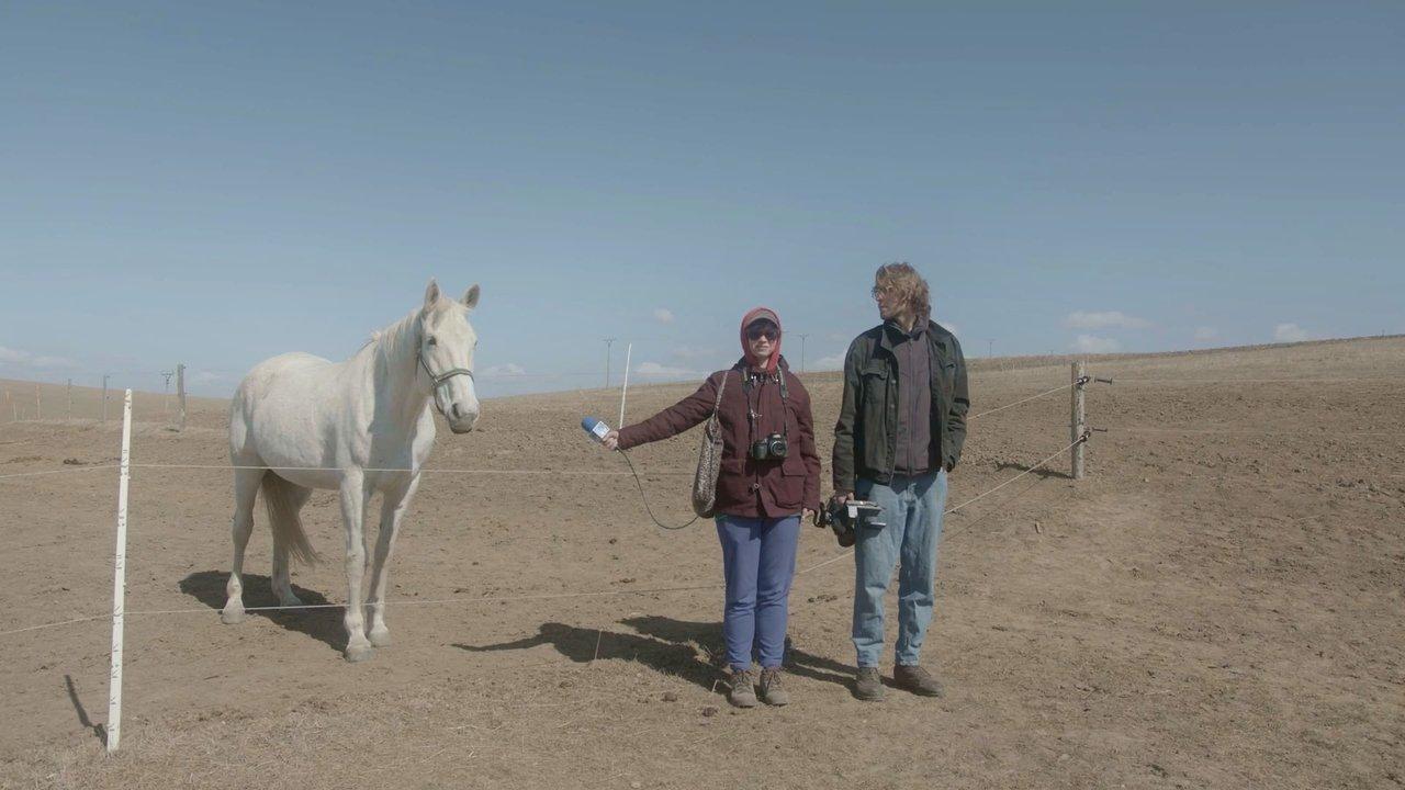 The Most Beautiful Corner in the World backdrop