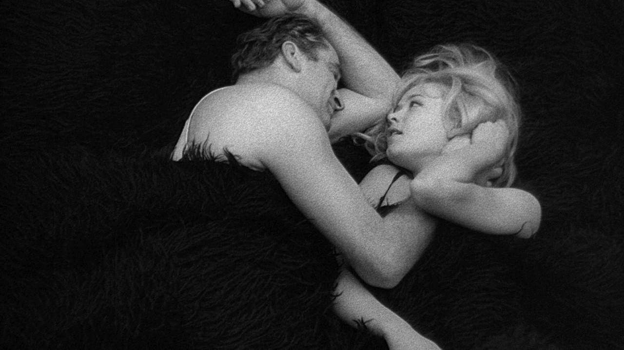 Man Is Not a Bird backdrop