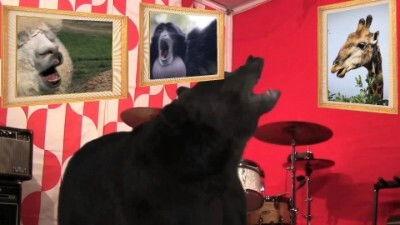 6 Million Subscribers Song