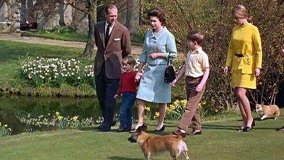 Royals & Animals: Till Death Do Us Part