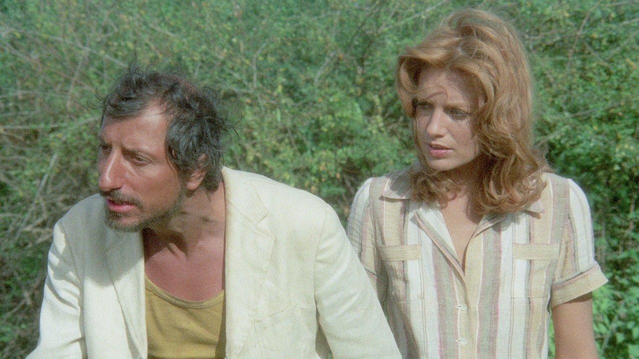 The Way of the Baboons backdrop