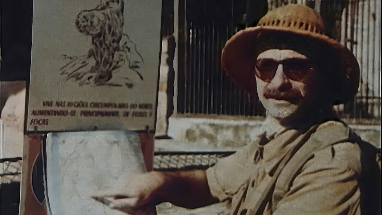 O Grande Safari do João Valentão backdrop