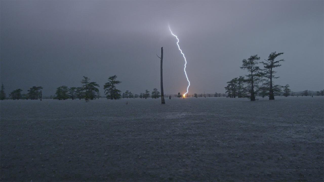 2017,  The Disaster Diaries backdrop