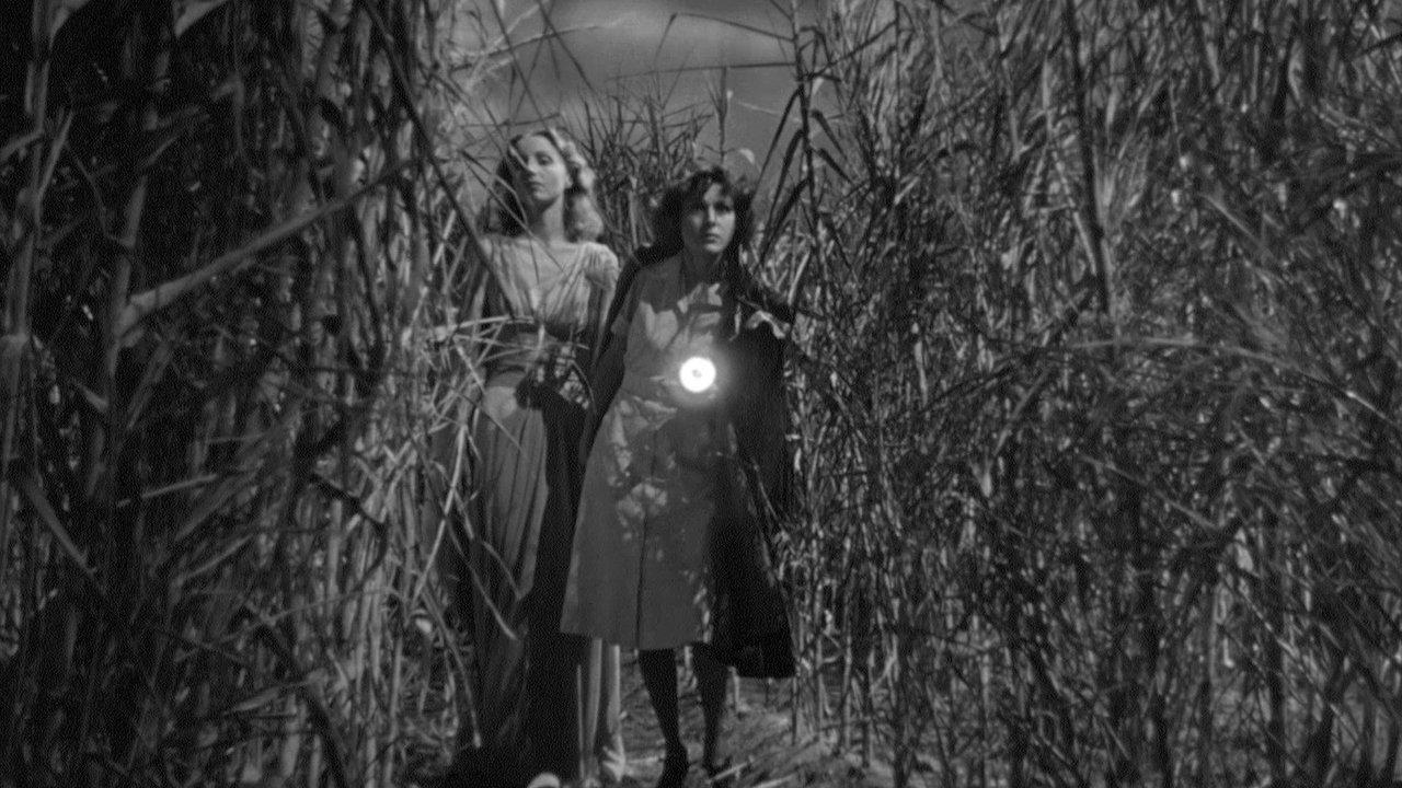 I Walked with a Zombie backdrop