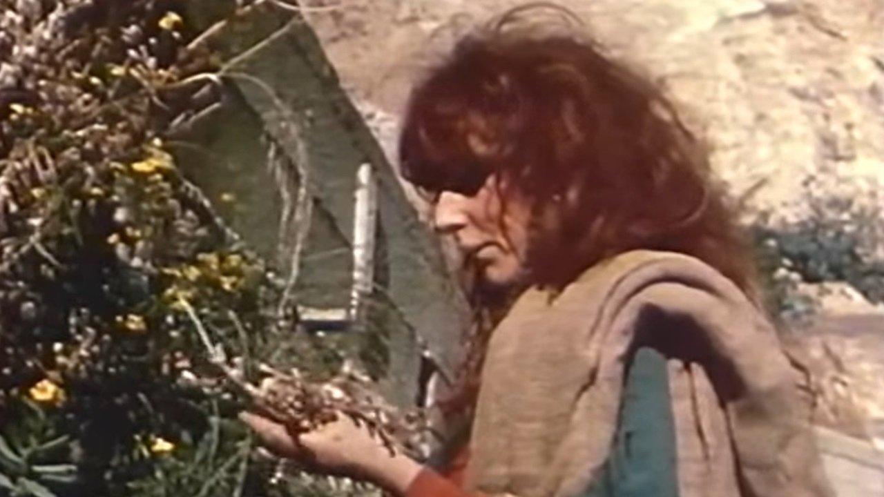 Vali, The Witch of Positano backdrop