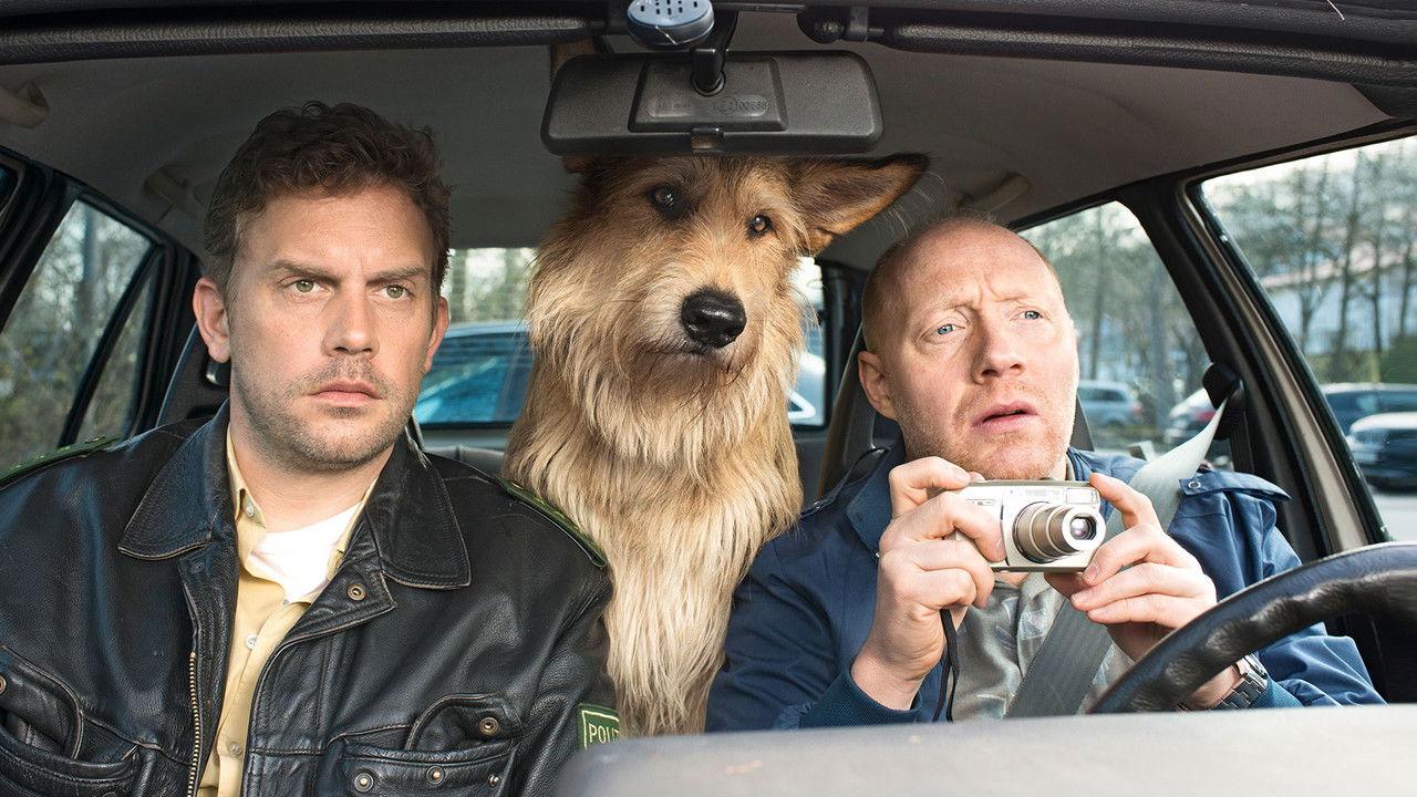 Eberhofer Collection backdrop