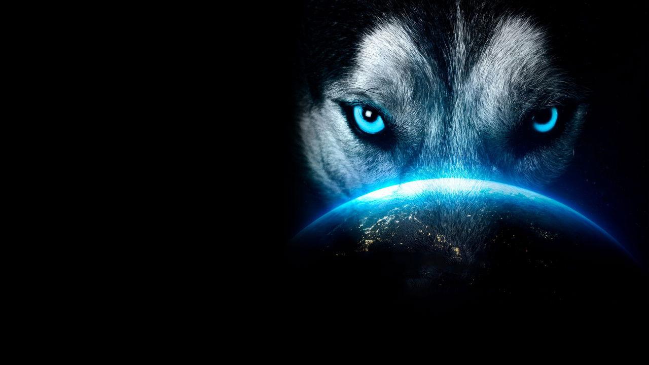 K-1 WORLD MAX 2024: 70kg 1st Round backdrop