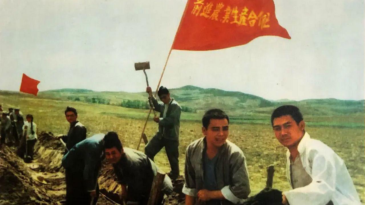 Jin guang da dao zhong ji backdrop