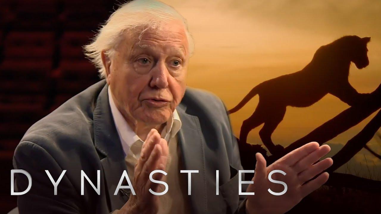 David Attenborough On Dynasties