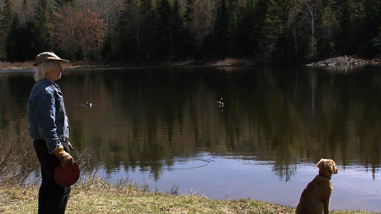 Paint Until Dawn: a documentary on art in the life of James Gahagan backdrop