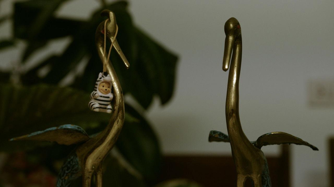 O tecido da memoria (My room number is cucumber) backdrop