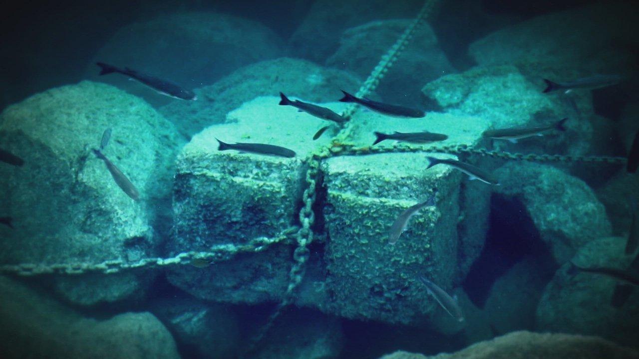 The Quest for Lost Treasures