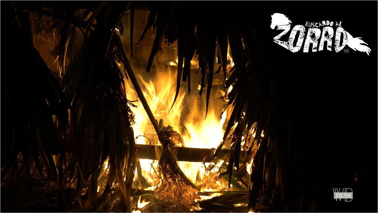 Searching for Zorro backdrop