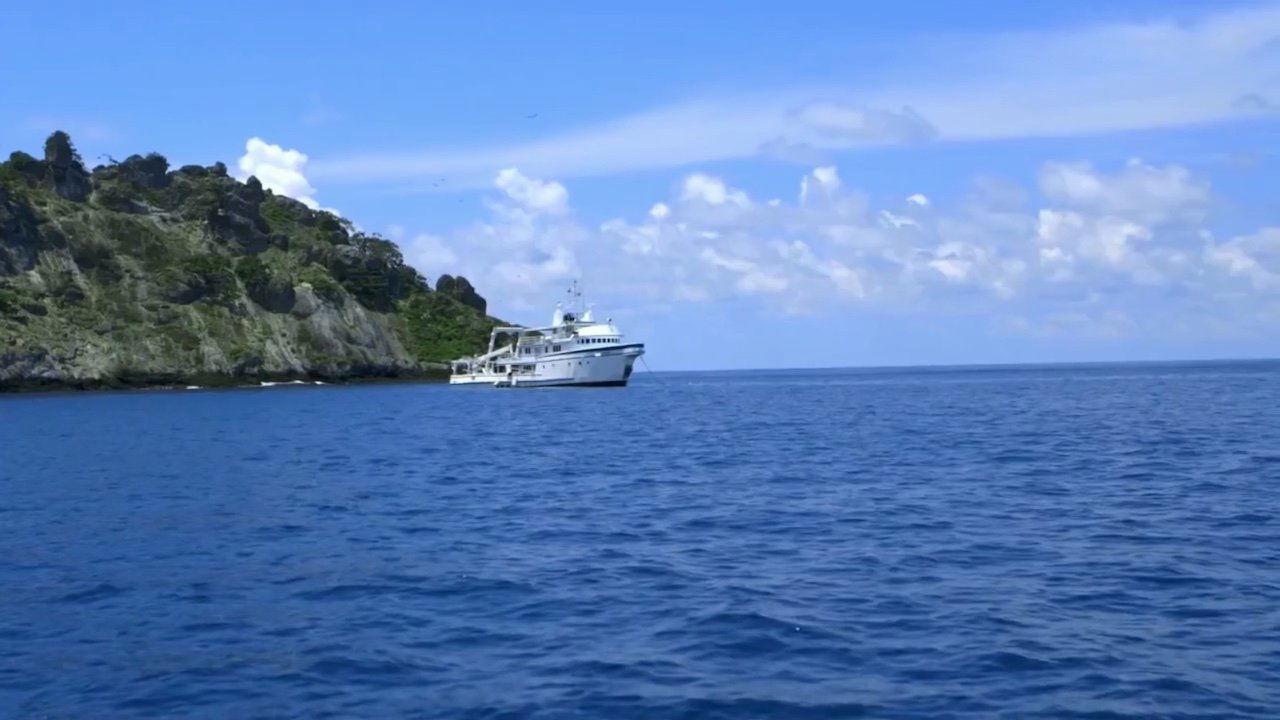 Shark Land: Welcome to Cocos Island backdrop