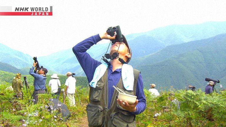 Nagano: Watching for Hawks