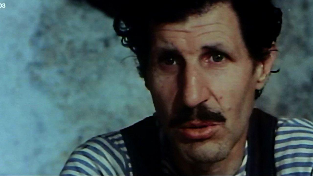 Two Sons of Trinity backdrop