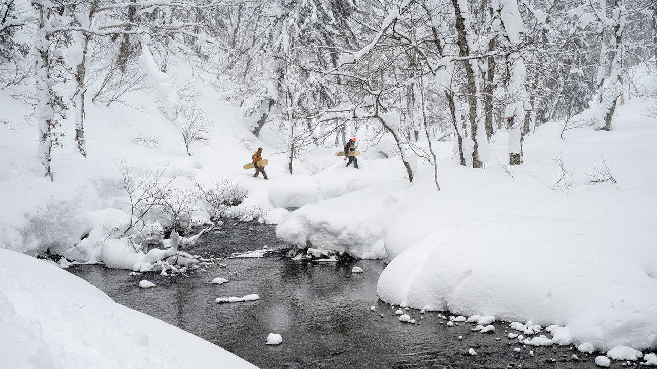 The Meaningless Pursuit of Snow backdrop