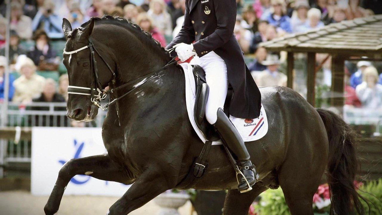 Totilas - The Million Dollar Business With The Horse of The Century backdrop