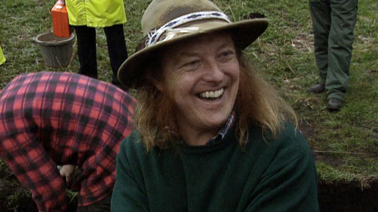 Bronze-Age Trackway - Greylake, Somerset