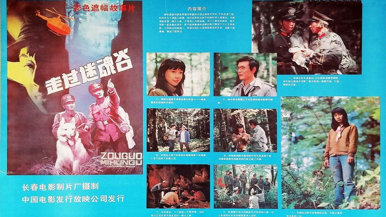 Go Through A Magic Valley backdrop