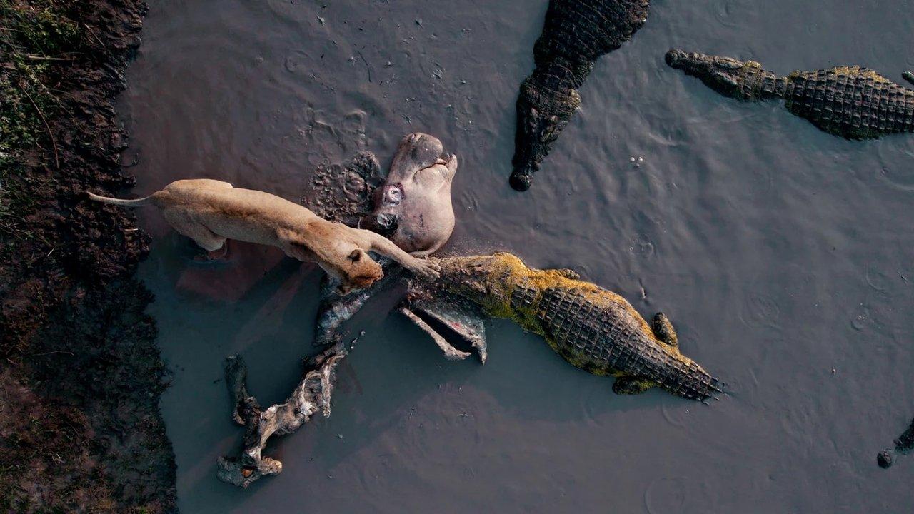 Katavi Africa's Fallen Paradise backdrop