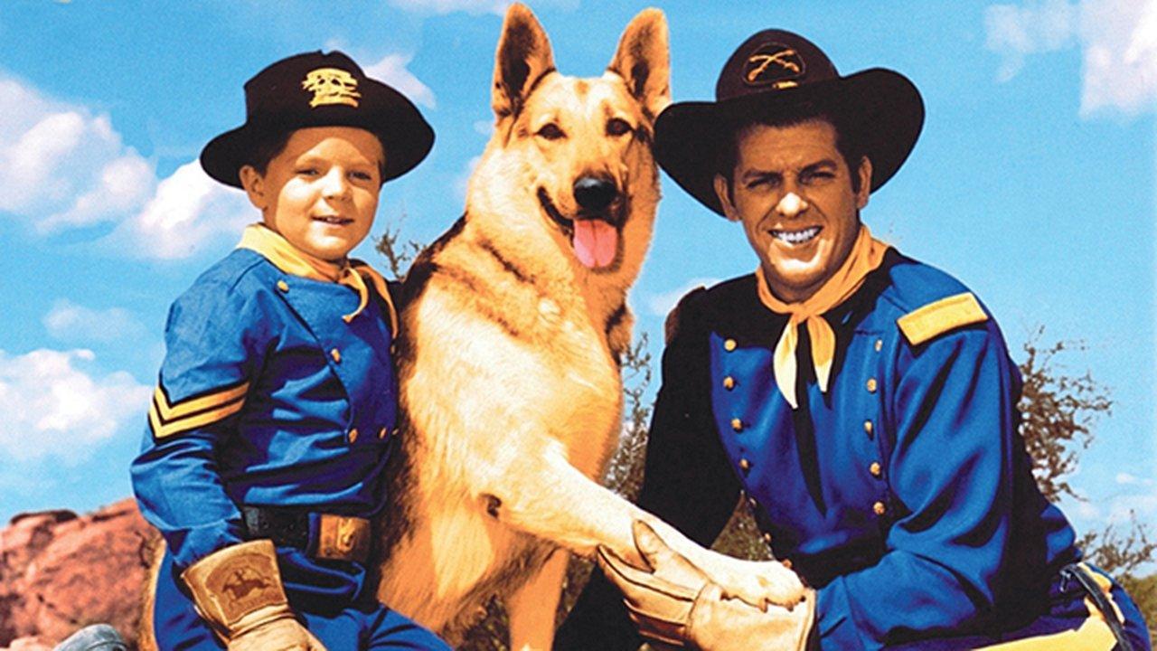 Rin Tin Tin and the Witch of the Woods