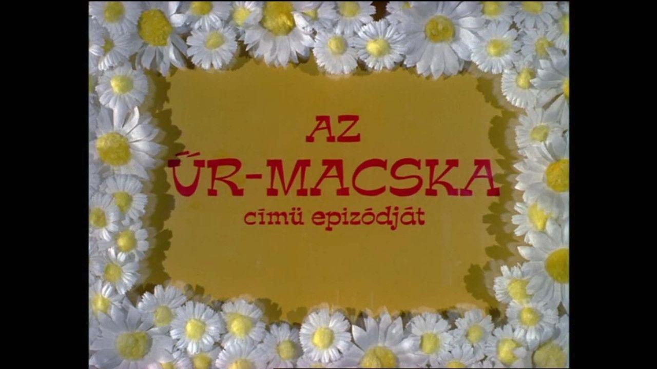 Az űr-macska