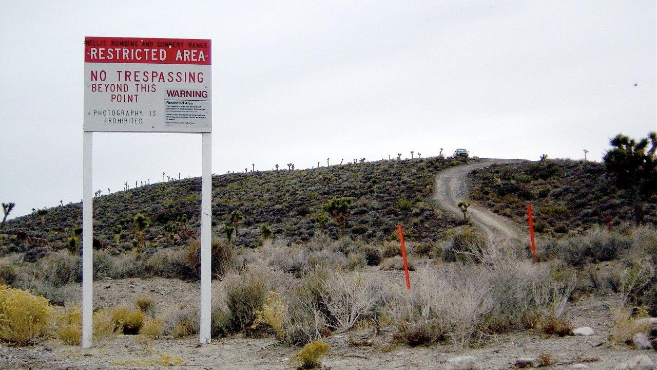 Big Brother Is Watching