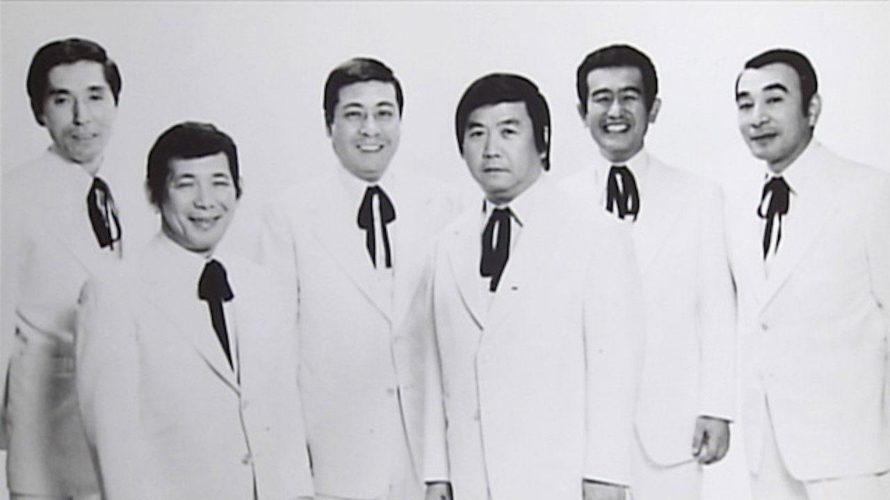 The Crazy Cats Collection backdrop