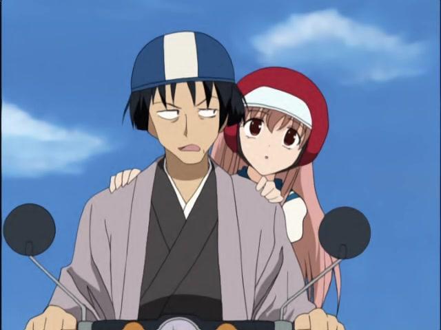 The Swooping Assassin