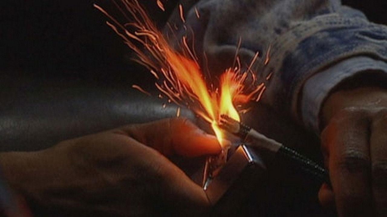 The World Trade Center Bombing