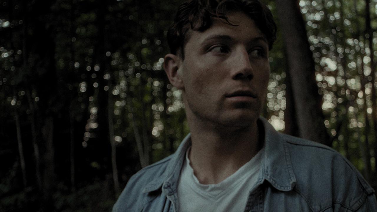 DARIO - How To Not Change The World backdrop