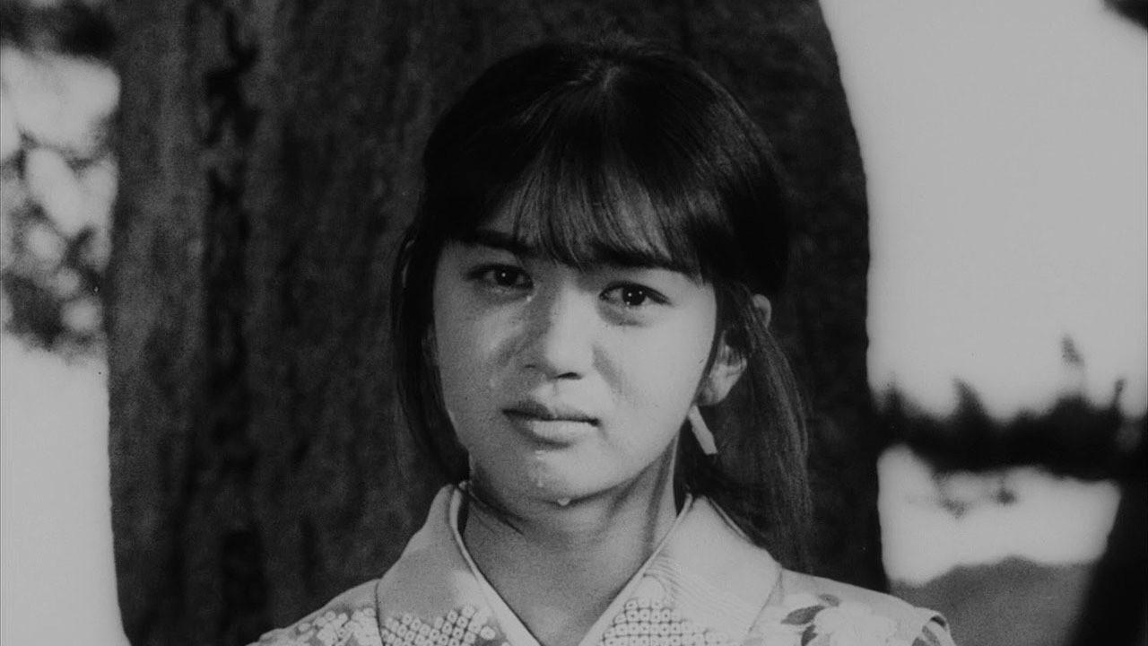 Bound for the Fields, the Mountains, and the Seacoast backdrop