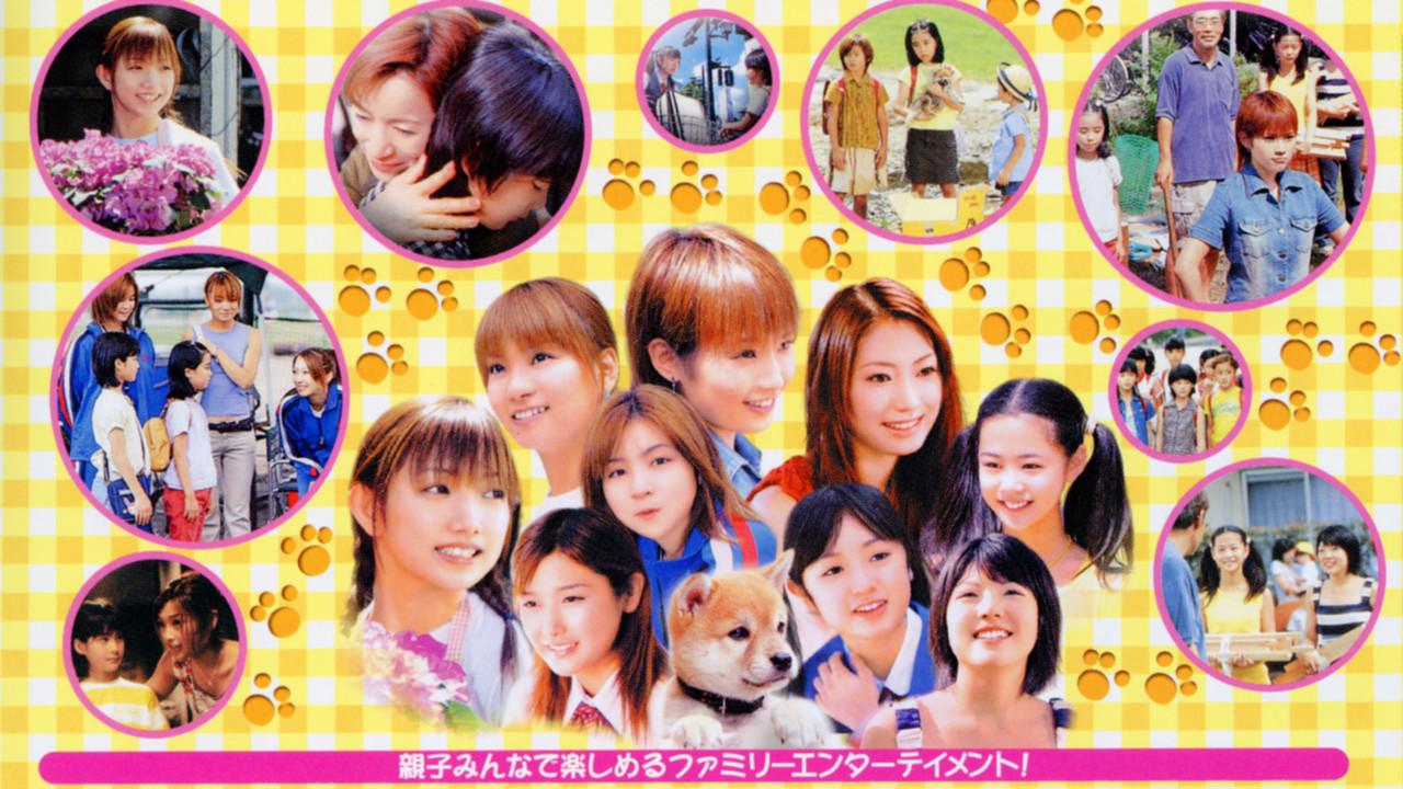 The Story of Dan the Puppy backdrop