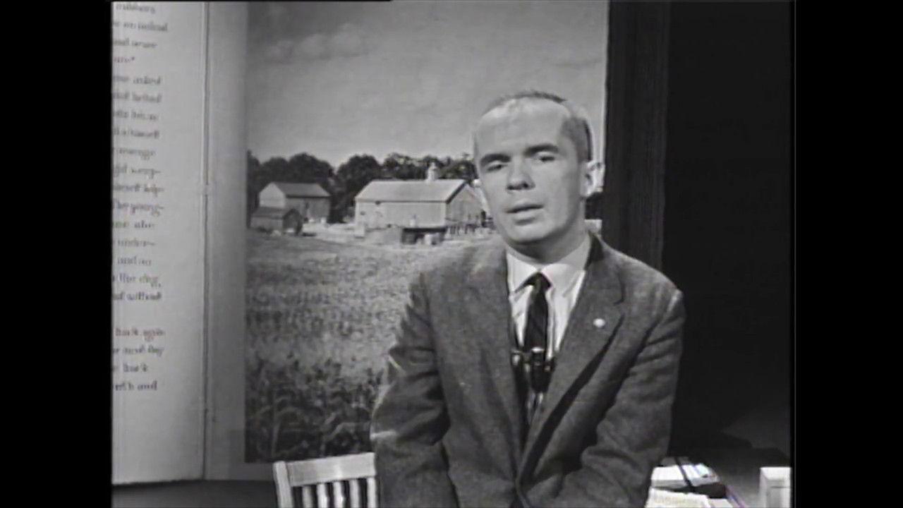 A Glimpse at the Newest South