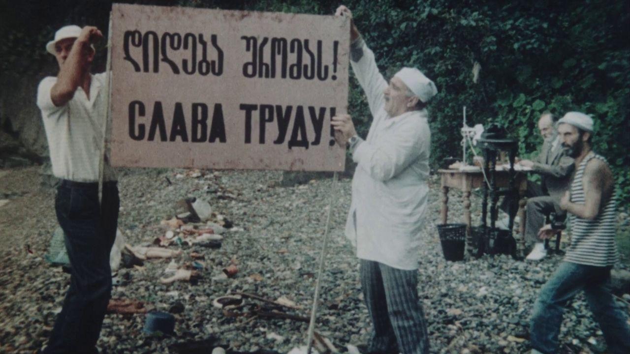 Swallows and Sparrows backdrop