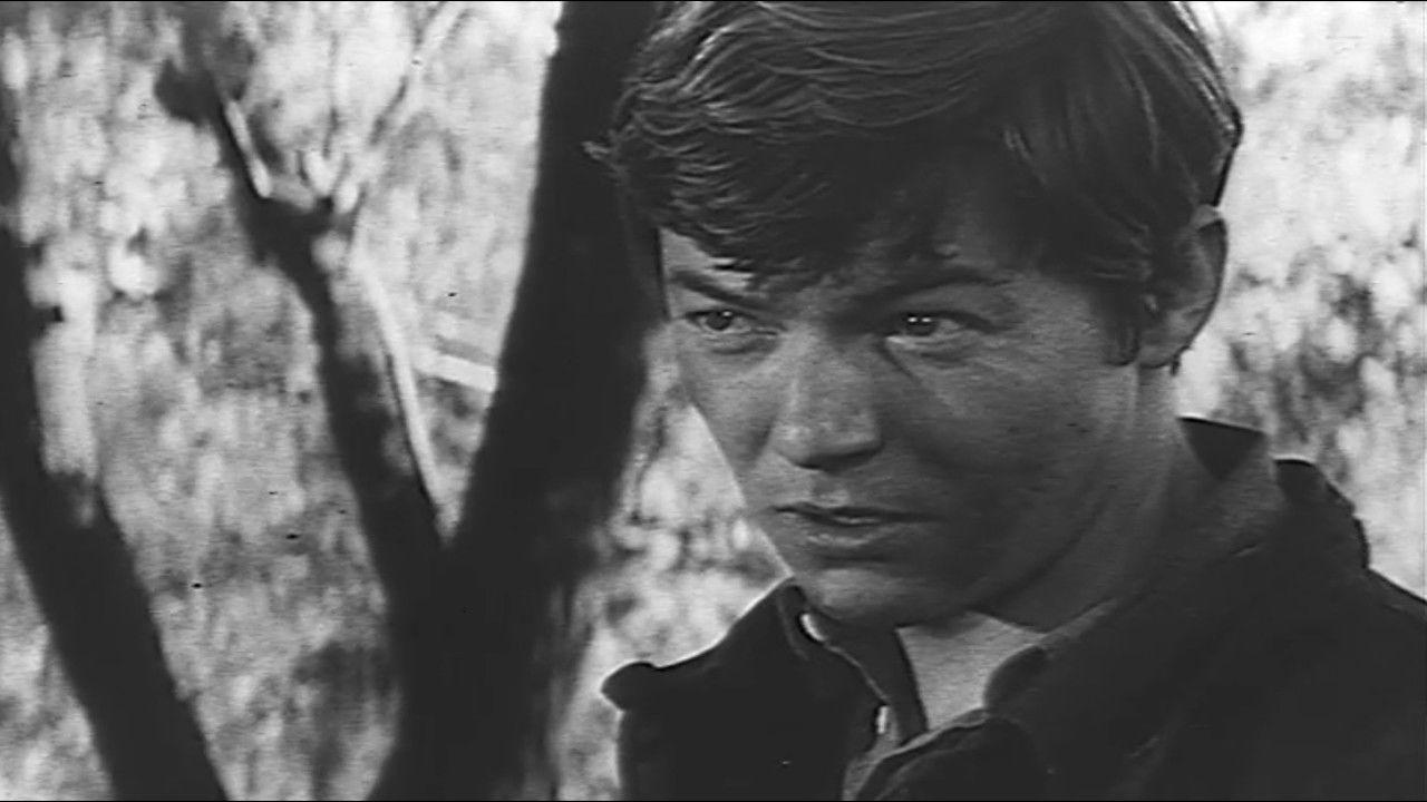 Where is 042? backdrop