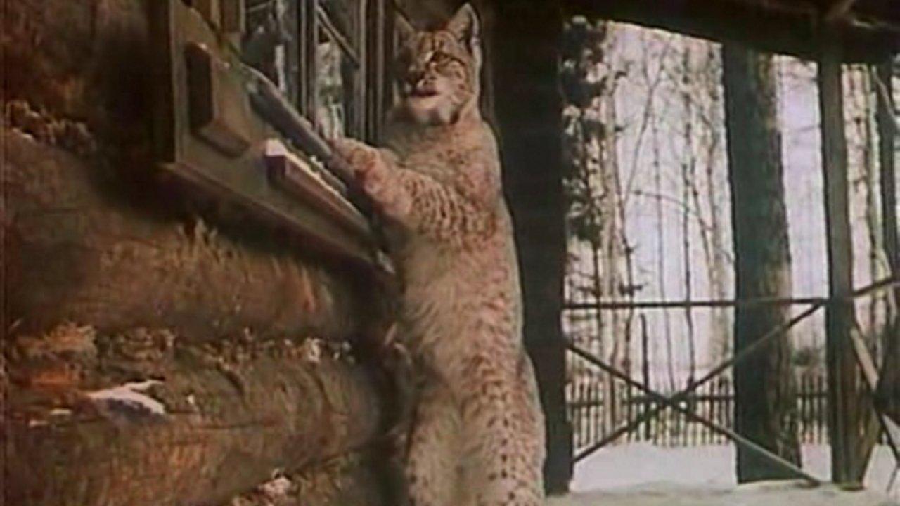 The Path Towards Uninterested Love backdrop