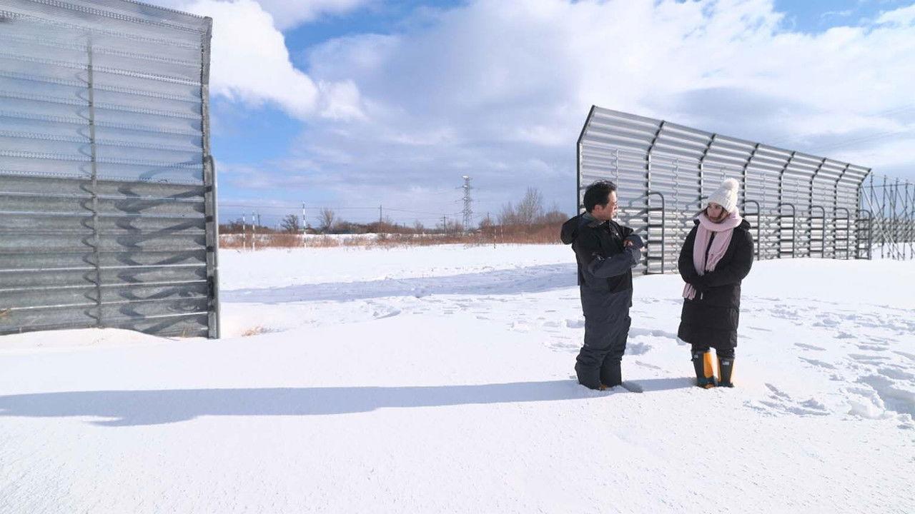 For Safe Travel Through Snowy Regions