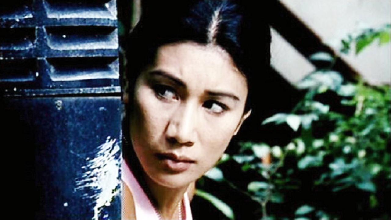 Her Name Is Cat Collection backdrop