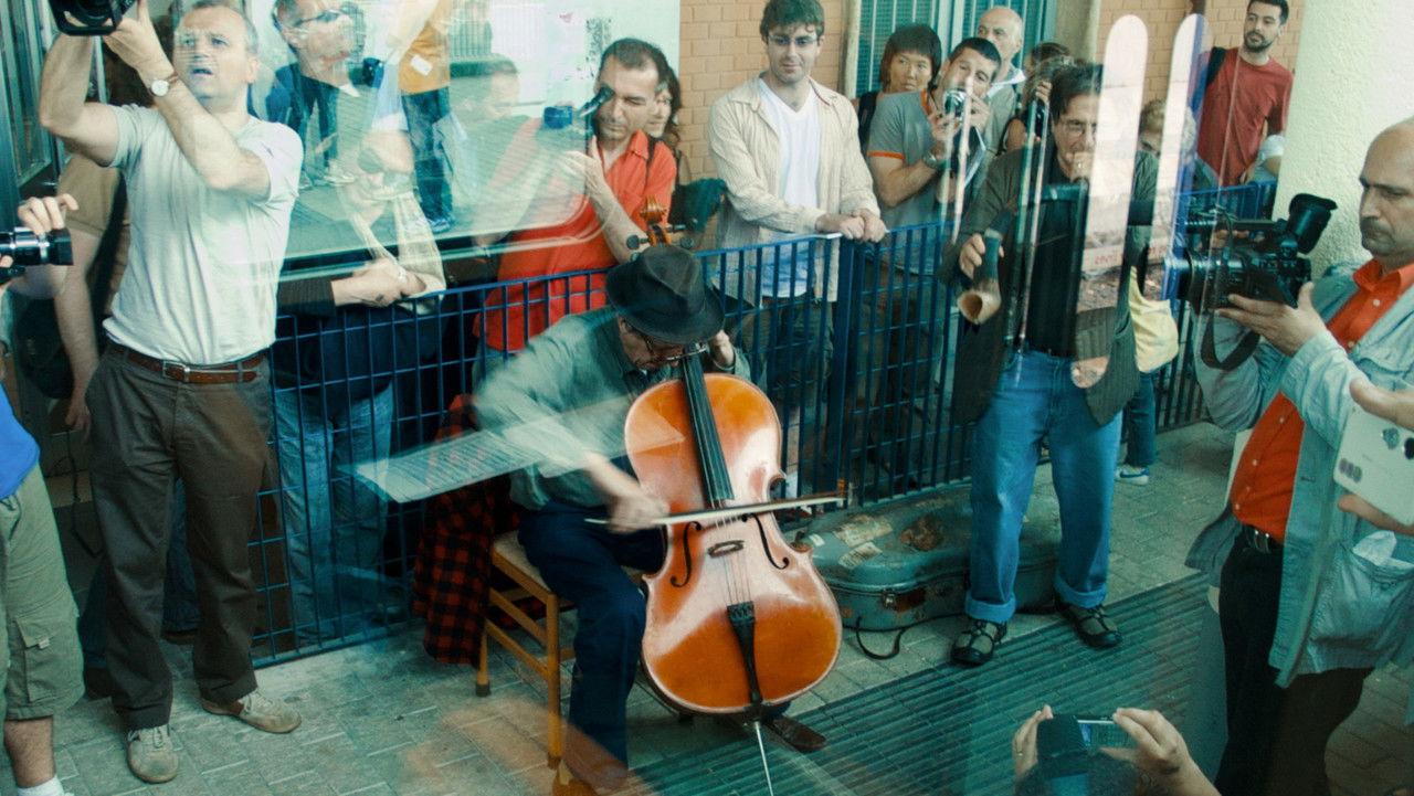 Take the Cage Train – Boletus Edulis backdrop