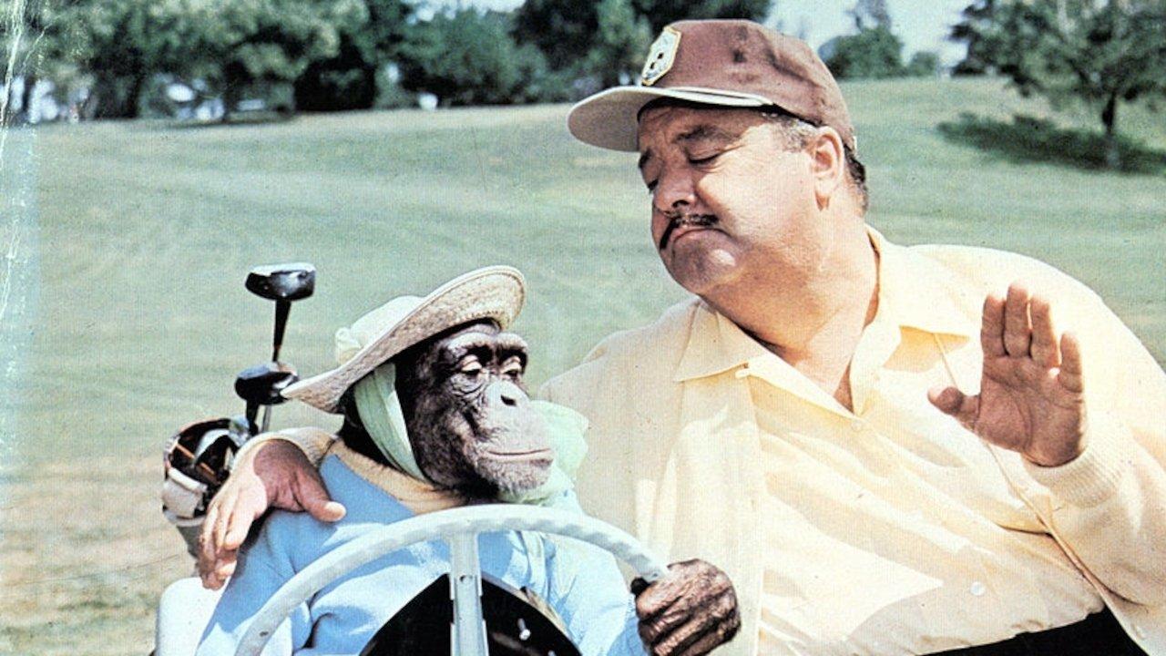 How to Commit Marriage backdrop