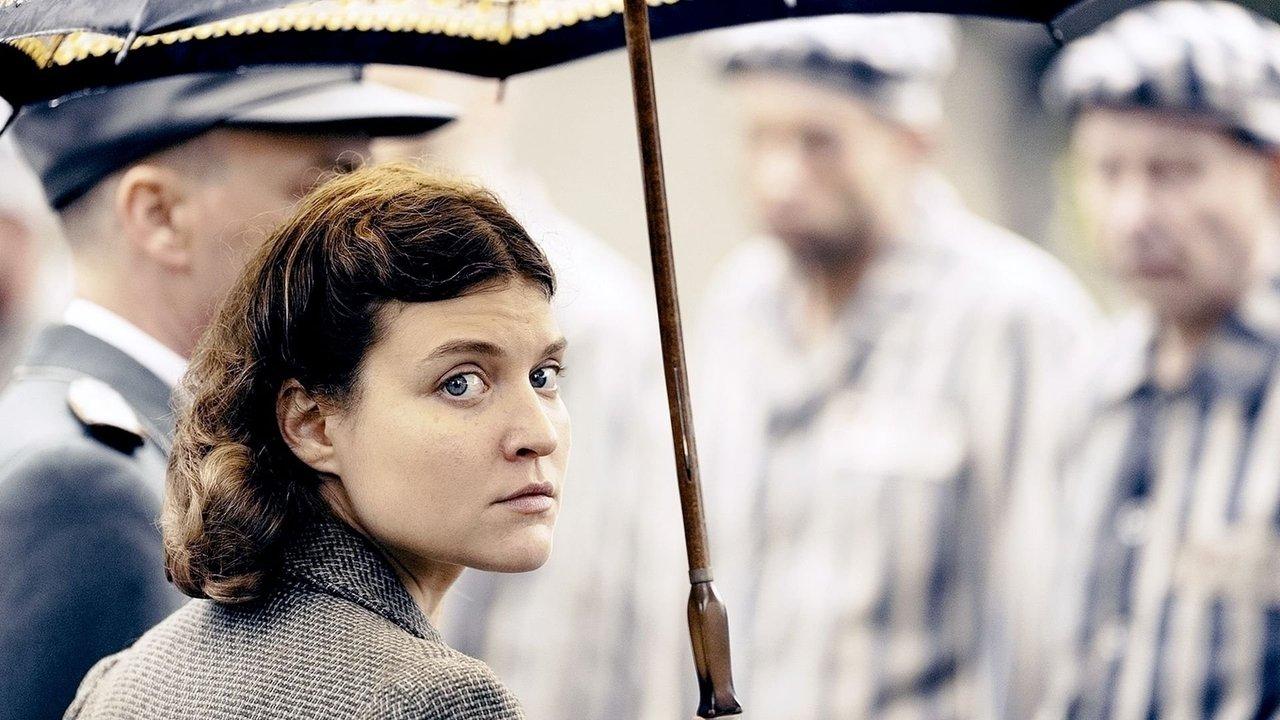 A World Divided backdrop